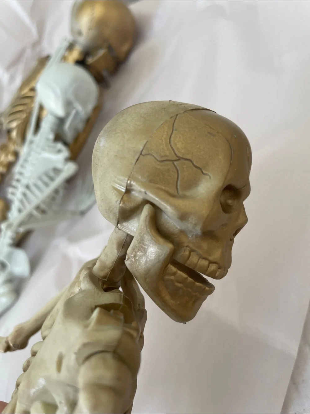 Set of Decorative Skeletons - Gold and White